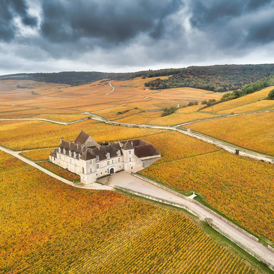 Maison Joseph Drouhin, Francia